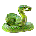 Deine Geschichte mit Grüne Mamba